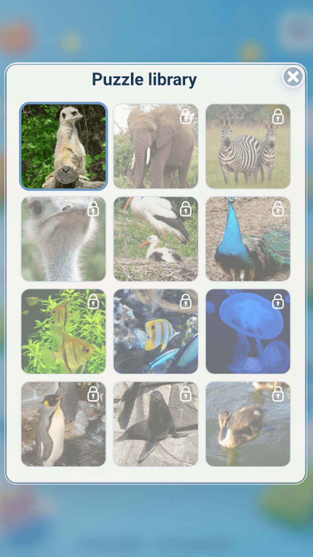 Puzzle library screen with animal-themed puzzles